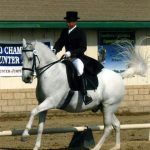 Dale Lawrence Dressage