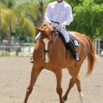 Dale Lawrence Dressage