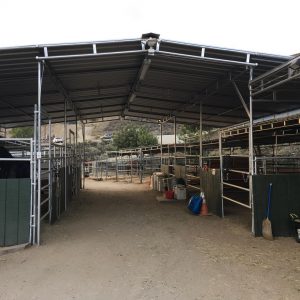 horse boarding in Los Angeles