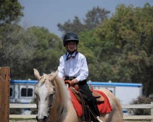 horse boarding in Los Angeles