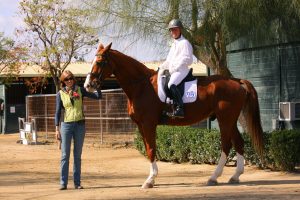los angeles horse boarding