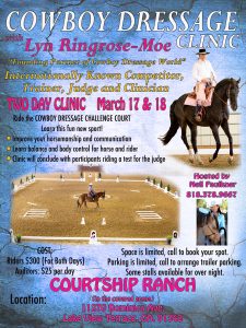 Lyn Ringrose-Moe, Cowboy Dressage, Clinic, Courtship Ranch