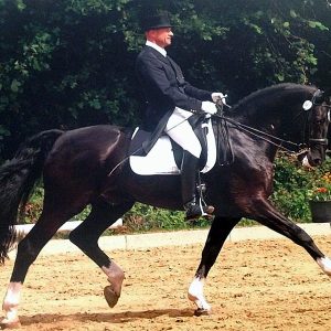 Kai-Mark Sebastian, dressage, Courtship Ranch, horse boarding, Clinic, “Riding with Intention”