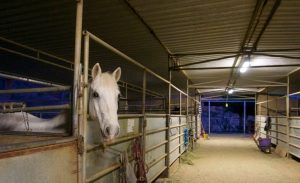boarding stables near Los Angeles