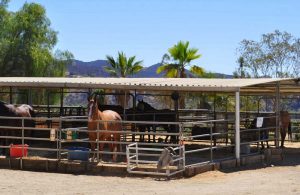 boarding stables near Los Angeles