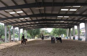 boarding stables near Los Angeles