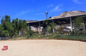 boarding stables near Los Angeles