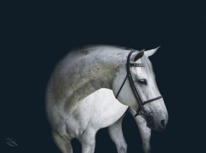 horse boarding in los angeles