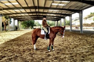 horse boarding in los angeles