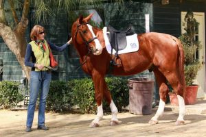 horse boarding in los angeles
