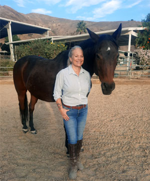 Equine Body Work Los Angeles